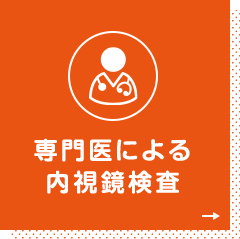 専門医による内視鏡検査